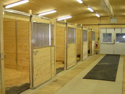 Box pour chevaux en bois clair avec acier galvanisé.