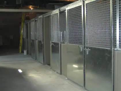 Façades de box métalliques pour chevaux dans une écurie.