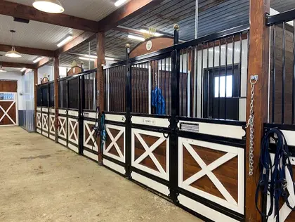 Box pour chevaux avec design noir et blanc.